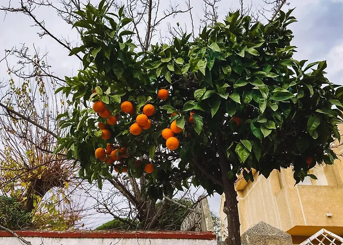 Family Casa Kuka I Wonderful Terrace With Saltwater Pool And Bbq Area I In Walking Distance I Pets Welcome * Fuengirola